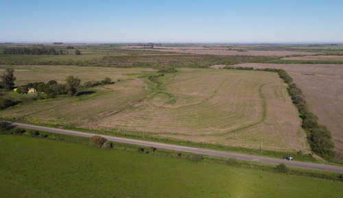 Imagen 5 de 16 de Antelo, Campo De 29 Has Sobre Asfalto, Sistematizado, Con Arroyo