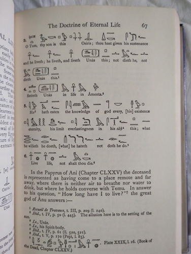 The Book Of The Dead (Usado)