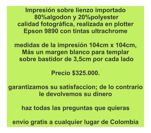 Cuadros Modernos Decorativos Geometricos, Arte Omar Rayo