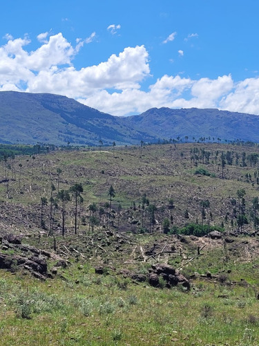 Venta De Chacra De Diez Hectáreas En Athos Pampa - Tlc0027
