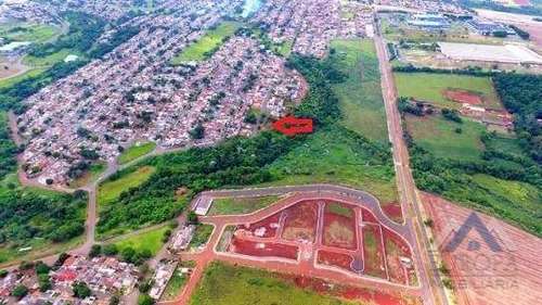 Imagem 5 de 6 de Terreno À Venda, 487 M² Por R$ 140.000,00 - Residencial Quadra Norte - Londrina/pr - Te0045