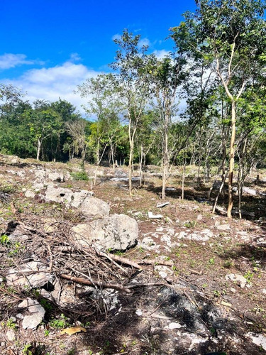 Terrenos De Inversión En Yucatán, Valladolid, México