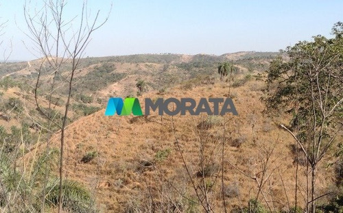 Imagem 2 de 3 de Fazenda - Zona Rural - Ref: 5256 - V-mta5256