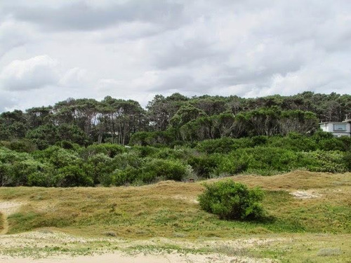 Imagen 11 de 12 de Lote | Ruta 10