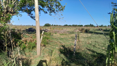 Campo En Venta En 177 Y 35