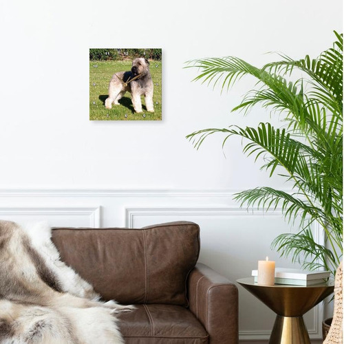Reloj De Pared Para Perros Bouvier Dpp 989