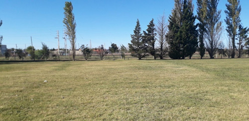 Imagen 10 de 13 de Oportunidad!! Lote En San Eliseo Golf & Country Club 1.150 M2