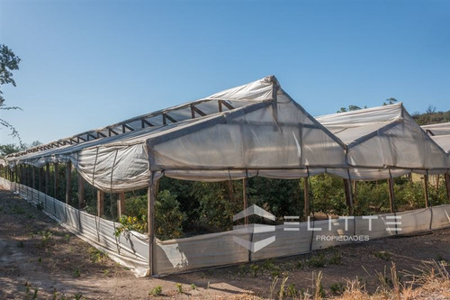 Imagen 11 de 29 de Parcela En Venta En Casablanca