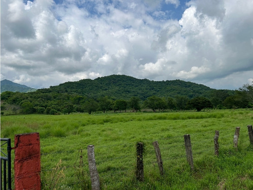 Impresionante Rancho En Manuel Avila Camacho - Tonalá