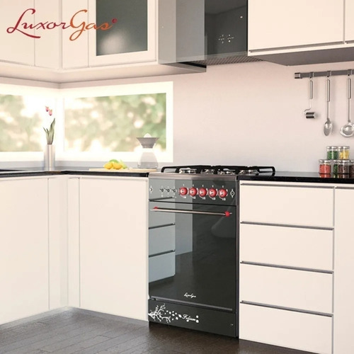 Imagen 3 de 10 de Cocina Folium 550 4 Hornallas Gourmet Rejilla Fundición