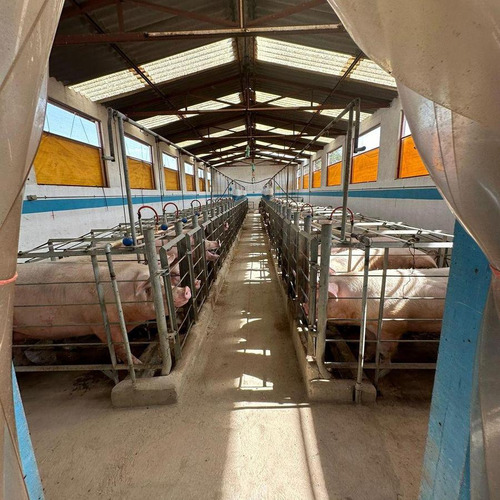 Magnífico Rancho Ganadero Con Excelentes Instalaciones Sup. 25 Hectáreas.