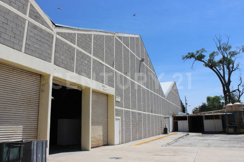 Bodegas En Venta 50,000 M2, Complejo Cerca Autopista Mex-pue, Tlaxcala