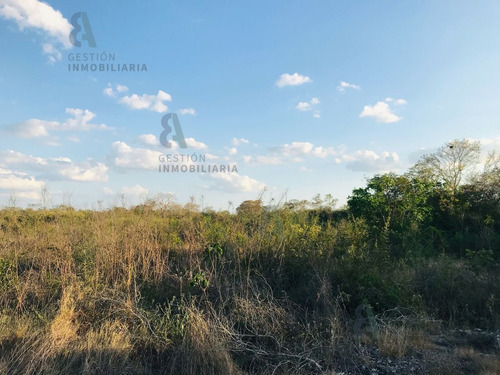 Imagen 6 de 9 de Terreno En Esquina En Venta En Komchen, Yucatán. Ctv124.