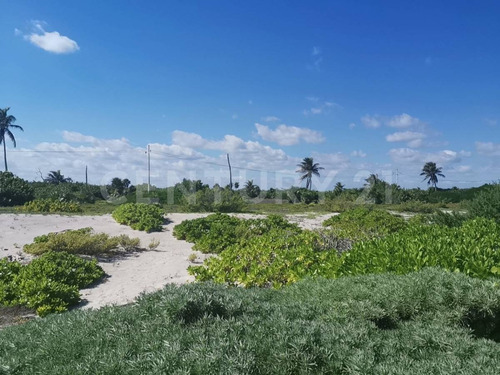 Oportunidad!!se Vende Terreno Frente Al Mar Mahahual-rio Indio P1200