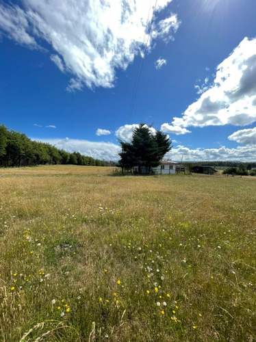 Campo De 22 Hectáreas Cercano A Fresia.