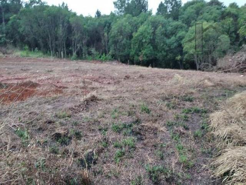 Imagem 2 de 8 de Cod -5650 - Terreno Em Ibiúna Com Poço E Energia - 5650