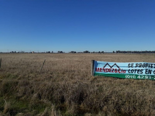 Imagen 9 de 15 de Terreno En Venta En Domselaar