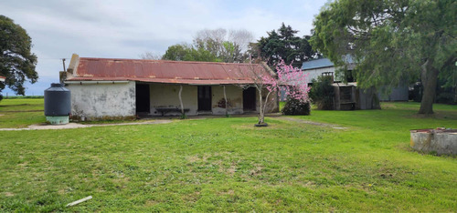 Vendo Chacra En Colonia Uruguay Gran Oportunidad