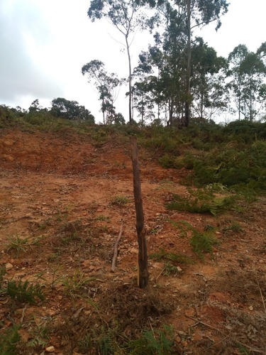 Imagem 4 de 12 de Chácara 1000 Mts Em Ibiúna