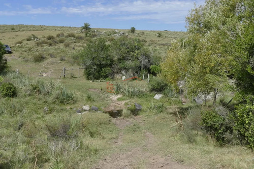 Ruta 39, A 47 Km De Punta Del Este, Venta De Campo Ganadero, Muy Panorámico Y Con Cañadas.