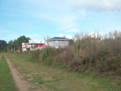 Imagen 3 de 6 de V092 - Lote En Venta, Costa Del Este, Orientación Norte