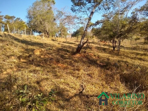Imagem 3 de 9 de Terreno Com Lagoa Em Bom Jesus Do Amparo - 3020