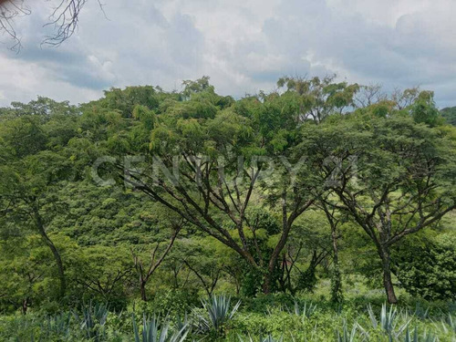 Terreno Rústico En Venta!!! Ayotlan, Jalisco
