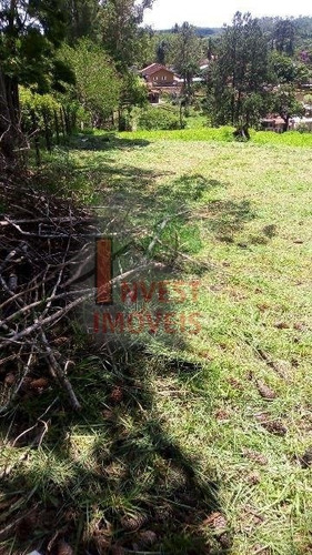 Imagem 7 de 11 de Terreno - Ref: 5056 - V-5056