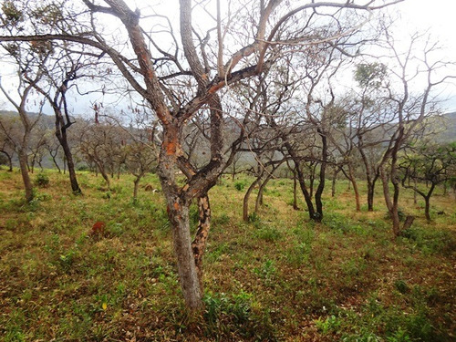 Terreno / Área Para Comprar No Casa Branca Em Brumadinho/mg - 1815