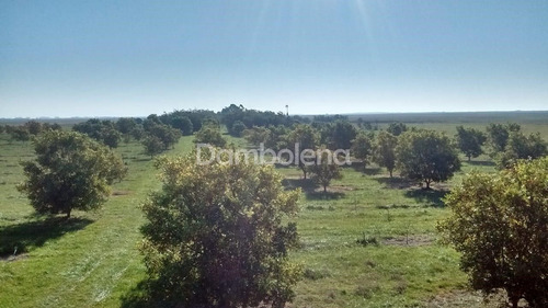 Imagen 5 de 25 de Terreno En Venta O Permuta Ubicado En Punta Indio, Resto De La Provincia