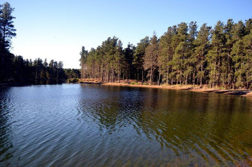 Imagen 9 de 25 de Venta - Lote Con Vista A Laguna Y Bosque En Viilla Robles - Barrio Cerrado
