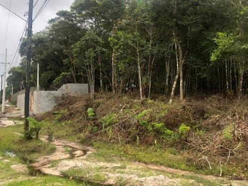 Imagem 5 de 5 de Terreno De Chácara Lado Serra, Itanhaém- São Fernando. 8963