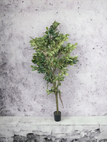 Árbol Ficus 150cm Artificial
