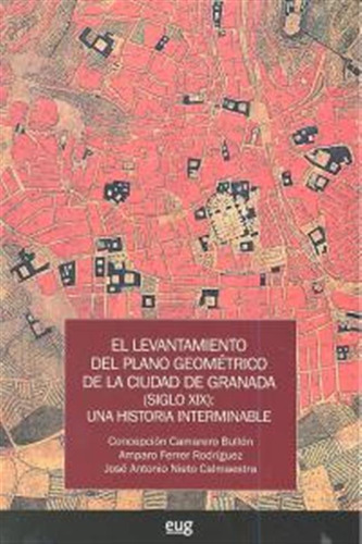 Levantamiento Del Plano Geometrico Ciudad De Granada S,xix -