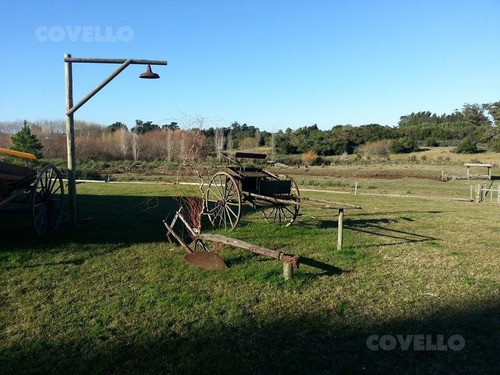 Espectacular Chacra De 5 Hectareas, Con Costa A La Laguna De Los Cisnes, Con Embarcadero Propio.