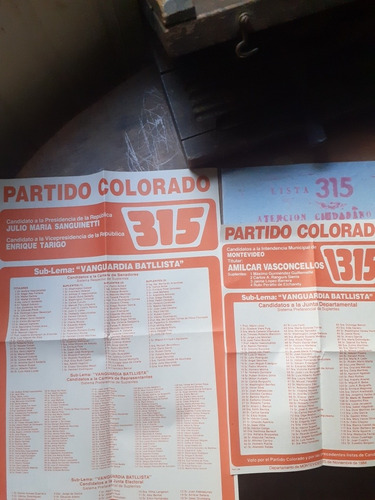 Elecciones Nacionales 1984 Partido Colorado Lista 315