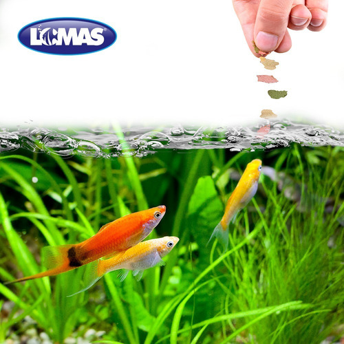 Alimento P/peces Hojuelas Básicas Lomas De 1 Kg (wardley)