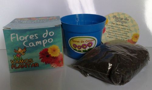 Mini Kit Vamos Plantar Flores Do Campo - Combo 20 Unidades