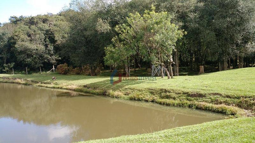 Imagem 13 de 22 de Chácara Com 4 Dormitórios, 21793 M² - Venda Por R$ 2.000.000,00 Ou Aluguel Por R$ 6.000,00/mês - Borda Do Campo - Piraquara/pr - Ch0005