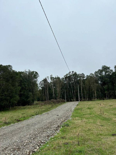 Km 15 Ruta 215 Sector Las Lumas