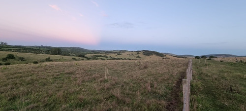 Chacra Campo De 10 Hs A 5 Km De Pueblo Eden