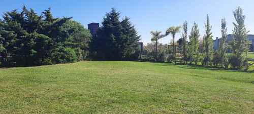 Venta Lote Interno En San Marco