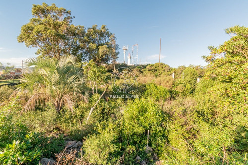 Imagen 14 de 14 de Terrenos Venta Piriápolis