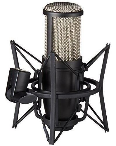 Akg Perception 220 Microfono De Estudio Profesio