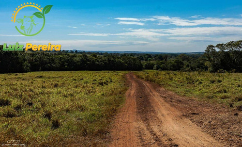 Imagem 13 de 14 de Fazenda À Venda Em Anastácio - Ms - De 510 Hectares (dupla Aptidão) - 1790