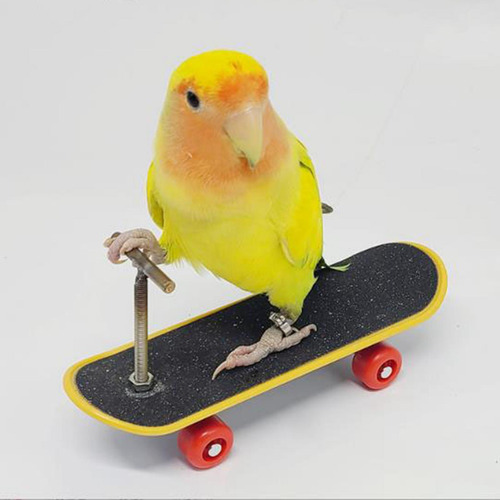 Loro Pájaro De Juguete Juguete Pájaro Durmiente Soporte De