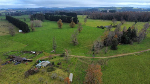 Agrícola En Venta En Paillaco