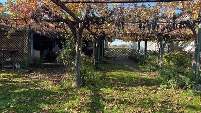 Parcela en venta