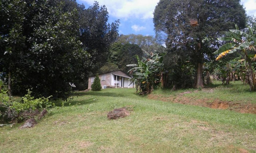 Imagem 21 de 30 de Chácara Com 4 Dormitórios À Venda, 190575 M² Por R$ 900.000,00 - Marta - Morretes/pr - Ch0137