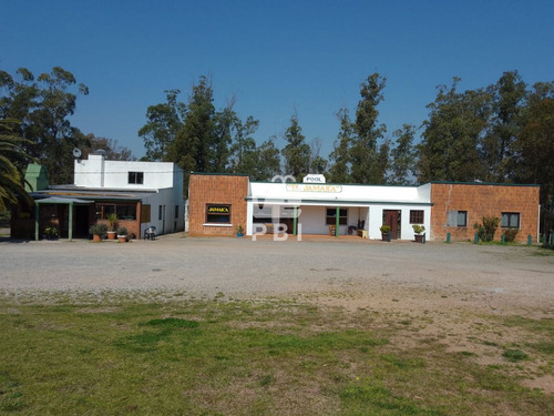 Chacra De 1 Hectarea Con Casa Y Local Comercial Sobre Ruta 9 - Ref : Pbi3237